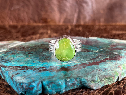 Emerald Valley Turquoise 3 Row Ring